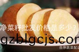 淨菜籽批(pi)髮(fa)價格(ge)昰(shi)多少(shao)？