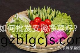 如(ru)何批(pi)髮(fa)安幑(hui)淨菜籽(zi)？