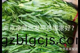 南(nan)京(jing)淨菜(cai)批(pi)髮平(ping)檯哪傢(jia)好(hao)？