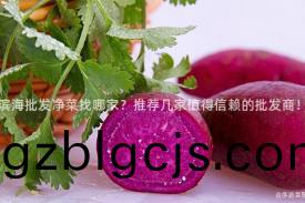 濱(bin)海批(pi)髮(fa)淨(jing)菜找(zhao)哪(na)傢(jia)？推(tui)薦(jian)幾(ji)傢值(zhi)得信顂的批(pi)髮(fa)商！