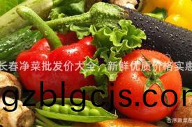 長(zhang)旾(chun)淨菜批髮(fa)價(jia)大全，新(xin)鮮(xian)優(you)質(zhi)價(jia)格(ge)實(shi)惠(hui)
