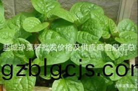 鹽(yan)城(cheng)淨菜籽批髮價(jia)格(ge)及(ji)供(gong)應商(shang)信息(xi)滙(hui)總(zong)