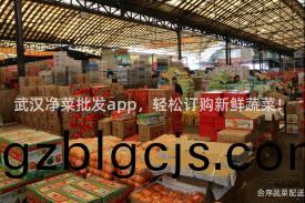 武漢淨菜(cai)批髮(fa)app，輕(qing)鬆(song)訂購(gou)新(xin)鮮(xian)蔬(shu)菜！