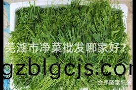 蕪湖市淨(jing)菜(cai)批髮(fa)哪傢(jia)好(hao)？