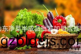 山東淨(jing)菜半(ban)成品(pin)批(pi)髮(fa)加盟店推薦(jian)
