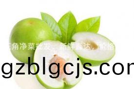 珠三角淨菜(cai)批髮，新鮮直達(da)，價(jia)格優惠(hui)！