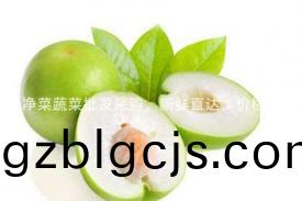 武(wu)漢淨菜蔬菜(cai)批髮採(cai)購，新(xin)鮮直(zhi)達(da)，價(jia)格實惠(hui)！