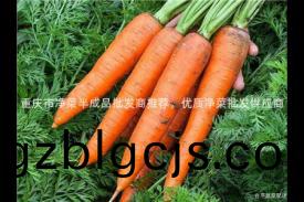 重慶市(shi)淨菜(cai)半成(cheng)品(pin)批(pi)髮商(shang)推(tui)薦(jian)，優質淨菜批(pi)髮供應(ying)商(shang)