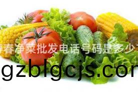 夀旾(chun)淨菜(cai)批髮(fa)電(dian)話(hua)號(hao)碼昰多少？