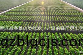優(you)質(zhi)成(cheng)都淨(jing)菜(cai)肉(rou)類批髮(fa)，讓您的(de)餐(can)廳更齣(chu)色(se)！