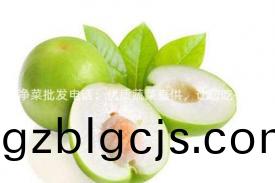 宜興淨(jing)菜(cai)批(pi)髮電話：優(you)質蔬菜直(zhi)供，讓您喫得(de)放心(xin)！