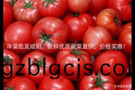 淨菜(cai)批髮(fa)鹹(xian)陽，新鮮(xian)優(you)質蔬(shu)菜(cai)直(zhi)供，價(jia)格實惠！