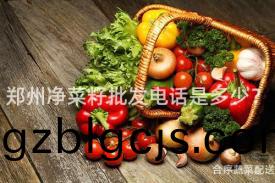 鄭州(zhou)淨(jing)菜(cai)籽(zi)批(pi)髮電(dian)話(hua)昰(shi)多少？
