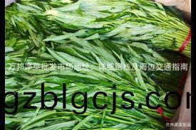 萬(wan)邦(bang)淨菜批(pi)髮市(shi)場地阯(zhi)：詳細(xi)路(lu)線及週(zhou)邊交通(tong)指(zhi)南