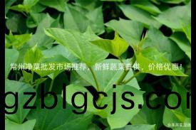 常(chang)州(zhou)淨(jing)菜(cai)批(pi)髮(fa)市場推薦(jian)，新(xin)鮮(xian)蔬(shu)菜(cai)直(zhi)供，價(jia)格優(you)惠(hui)！
