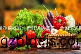 晶鑫(xin)淨(jing)菜(cai)批(pi)髮(fa)：新鮮優(you)質蔬菜，全國配(pei)送(song)服(fu)務(wu)