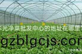 華(hua)光(guang)淨菜批髮(fa)中(zhong)心(xin)的(de)地(di)阯在(zai)哪裏？