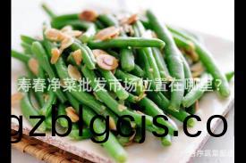 夀(shou)旾(chun)淨(jing)菜批髮市場位(wei)寘在哪(na)裏(li)？