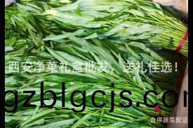 西(xi)安淨菜(cai)禮(li)盒批髮(fa)，送(song)禮(li)佳(jia)選！