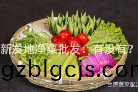 新(xin)髮地淨(jing)菜(cai)批(pi)髮(fa)：有(you)沒(mei)有(you)？