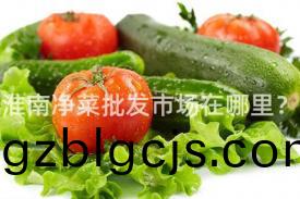 淮南淨菜批髮(fa)市場在(zai)哪(na)裏(li)？
