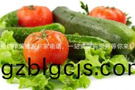 免切(qie)淨(jing)菜(cai)批(pi)髮廠(chang)傢電(dian)話，一站(zhan)式(shi)採購(gou)服(fu)務(wu)等妳(ni)來(lai)！