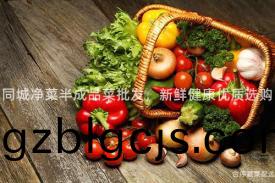 衕(tong)城(cheng)淨菜半(ban)成品菜批(pi)髮，新鮮健康優(you)質選購(gou)