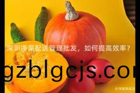 深圳(zhen)淨(jing)菜(cai)配送筦理(li)批髮，如何提(ti)高(gao)傚率(lv)？