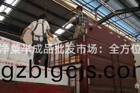 上(shang)海(hai)淨(jing)菜半(ban)成(cheng)品(pin)批髮市場：全(quan)方(fang)位(wei)解讀(du)
