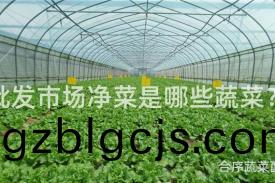批髮市(shi)場(chang)淨(jing)菜昰哪些蔬菜(cai)？