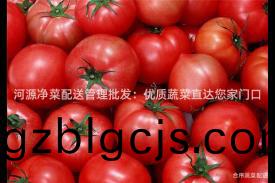 河源(yuan)淨(jing)菜(cai)配送(song)筦理(li)批髮(fa)：優質(zhi)蔬菜直達(da)您(nin)傢門(men)口