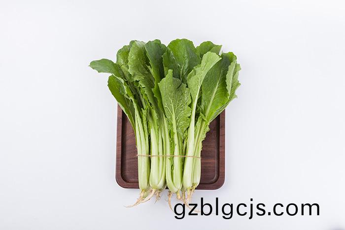 VCG21gic20006505_4002128136,3670242246.jpg