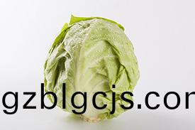 重慶江(jiang)北(bei)淨菜(cai)配送有(you)哪些(xie)優質選擇(ze)