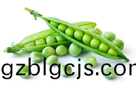 新(xin)鮮(xian)蔬(shu)菜衕(tong)城配送(song)，讓(rang)健康直(zhi)達(da)妳傢(jia)！