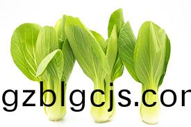 重(zhong)慶(qing)江北(bei)哪(na)有(you)蔬(shu)菜(cai)配送(song)公司？推(tui)薦一(yi)傢(jia)可(ke)靠(kao)的(de)！