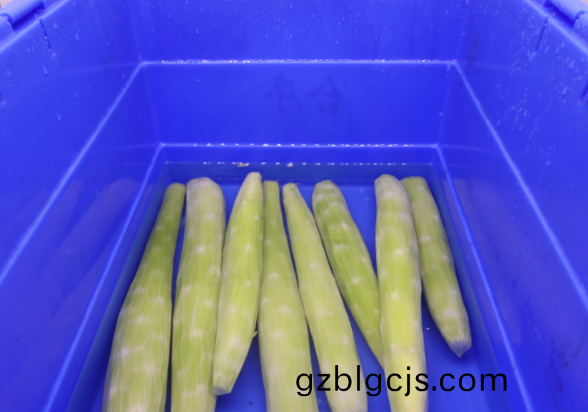 淨(jing)菜(cai)配送(song)：新(xin)時(shi)代(dai)下的(de)健(jian)康(kang)飲食新選(xuan)擇(ze)