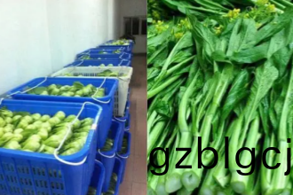 餐館(guan)蔬(shu)菜配送：高傚便捷(jie)的餐(can)廳(ting)新選(xuan)擇(ze)