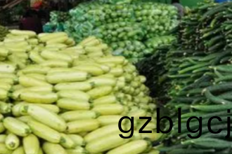 重慶(qing)江北生鮮蔬菜(cai)配(pei)送價(jia)格(ge)一覽(lan)