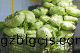 毛(mao)菜定(ding)製配送：重慶(qing)的(de)味(wei)蕾(lei)新體驗