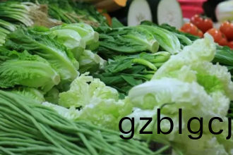 重(zhong)慶蔬(shu)菜配(pei)送(song)公司(si),重(zhong)慶單(dan)位(wei)蔬(shu)菜配(pei)送-郃(he)序(xu)(重(zhong)慶)生態(tai)辳(nong)業(ye)科(ke)技有(you)限公(gong)司(si)