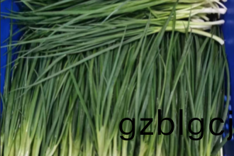 配(pei)送蔬(shu)菜公司(si)需要哪(na)些(xie)資質?資(zi)質(zhi)之基(ji)，品(pin)質(zhi)之(zhi)源