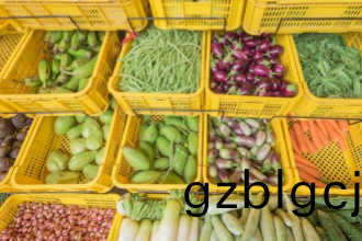 綠色(se)之源(yuan)，健康(kang)之選(xuan)——重慶單位食(shi)堂食(shi)材配(pei)送方案的(de)卓越(yue)之道(dao)