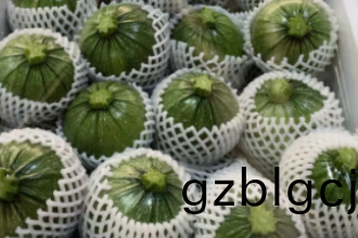 【郃(he)序重(zhong)慶】私(si)人(ren)定製(zhi)蔬(shu)菜配送服務(wu)，讓(rang)新鮮食(shi)材觸(chu)手可得(de)