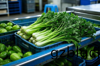 重(zhong)慶(qing)工廠(chang)食(shi)堂旾(chun)季(ji)蔬(shu)菜(cai)配(pei)送：品質(zhi)食材，滋養(yang)每(mei)一位員(yuan)工(gong)