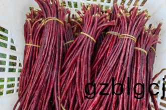 企(qi)事(shi)業單(dan)位(wei)食堂(tang)放(fang)心託付，郃序(xu)重(zhong)慶(qing)食材配(pei)送(song)篩選標準嚴(yan)苛